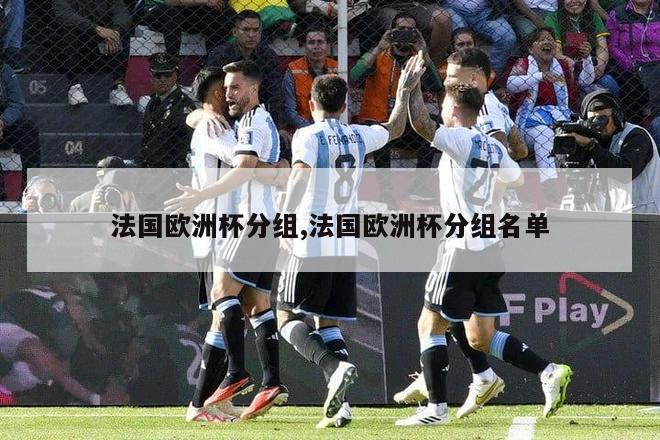 法国欧洲杯分组,法国欧洲杯分组名单