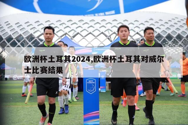 欧洲杯土耳其2024,欧洲杯土耳其对威尔士比赛结果