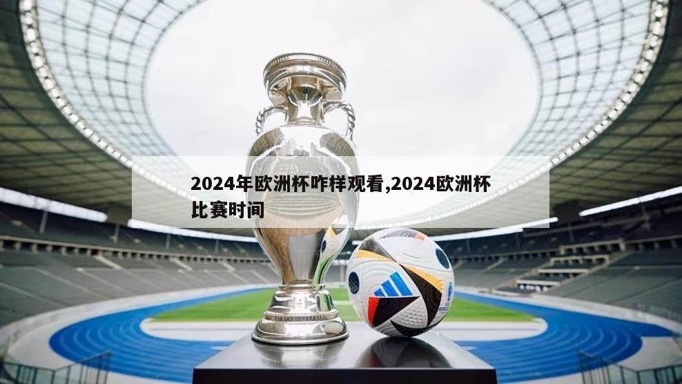 2024年欧洲杯咋样观看,2024欧洲杯比赛时间