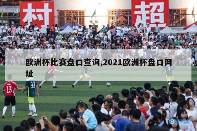 欧洲杯比赛盘口查询,2021欧洲杯盘口网址