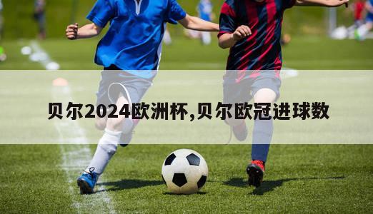 贝尔2024欧洲杯,贝尔欧冠进球数