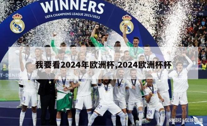 我要看2024年欧洲杯,2024欧洲杯杯