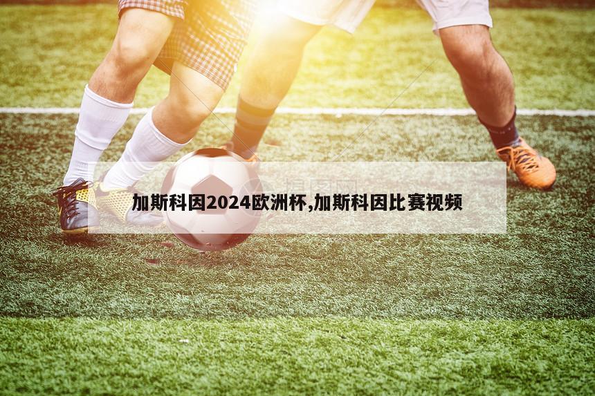 加斯科因2024欧洲杯,加斯科因比赛视频