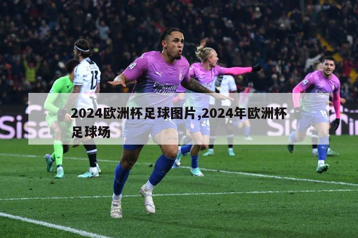 2024欧洲杯足球图片,2024年欧洲杯足球场