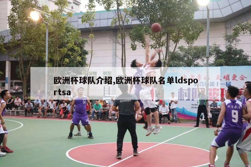 欧洲杯球队介绍,欧洲杯球队名单ldsportsa