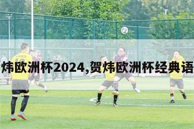 贺炜欧洲杯2024,贺炜欧洲杯经典语录